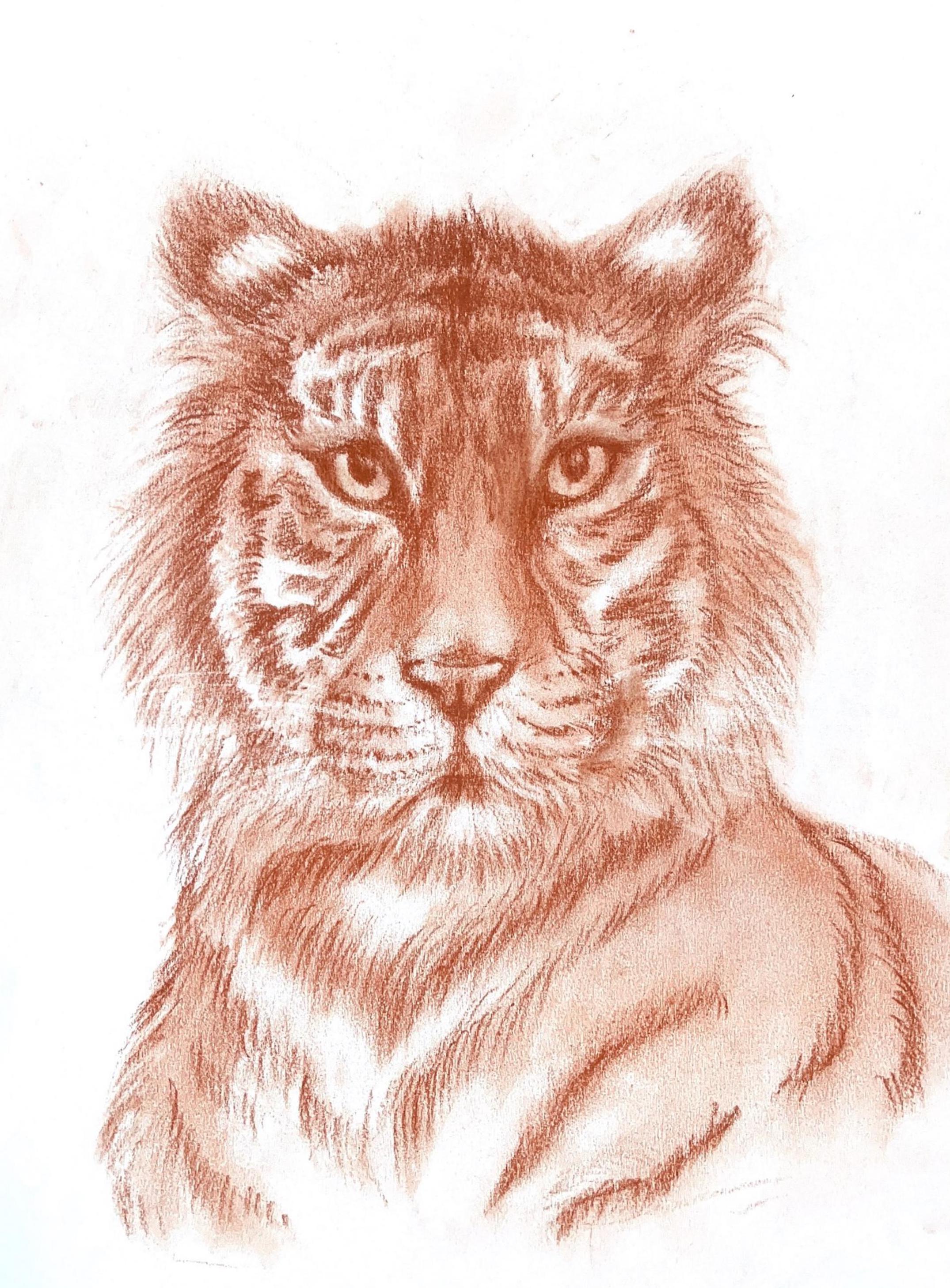 A tiger